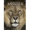 KNYGA David Alderton Encyclopedia of Animals