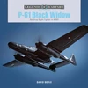 KNYGA David Doyle P-61 Juodas Widow