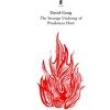 KNYGA David Greig Strange Undoing of Prudencia Hart