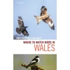 KNYGA David Saunders Where to Watch Birds in Wales