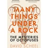 KNYGA David Scheel Many Things Under a Rock
