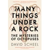 KNYGA David Scheel Many Things Under a Rock