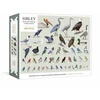 KNYGA David Sibley Sibley Backyard Birding Puzzle, 1000-Piece Jigsaw Puzzle with Portraits of Favorite North American Birds