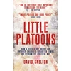 KNYGA David Skelton Little Platoons