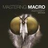 KNYGA David Taylor Mastering Macro Photography