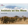 KNYGA Deborah Chancellor Animals on the Move