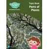 KNYGA Deborah Herridge Science Bug: Parts of plants Topic Book