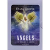 KNYGA Findhorn Press Angels Of Light kortos