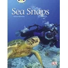 KNYGA Diana Noonan Bug Club Independent Non Fiction Year 1 Žalias A Sea Snaps