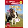KNYGA Dk Publishing DK Super Readers Level 2 Prancing Pony