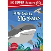 KNYGA Dk Publishing DK Super Readers Pre-Level Little Sharks Big Sharks