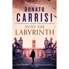 KNYGA Donato Carrisi Into the Labyrinth