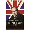 KNYGA Ed Enfield What Would Winston Do?: Dads ask their questions, Winston provides the answers