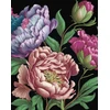 KNYGA Editors of Chartwell Books Peonies Journal