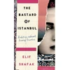 KNYGA Elif Afak Bastard of Istanbul