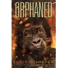 KNYGA Eliot Schrefer Orphaned (Ape Quartet #4)