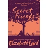 KNYGA Elizabeth Laird Secret Friends