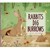 KNYGA Elizabeth Raum Rabbits Dig Burrows