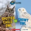 KNYGA Eric Geron Spotted Eagle-Owl or Snowy Owl (Wild World: Hot and Cold Animals)