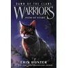 KNYGA Erin Hunter Warriors: Dawn of the Clans #6: Path of Stars