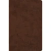 KNYGA Esv Bibles ESV Holy Bible