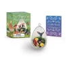 KNYGA Eugene Fletcher Mini Fairy Terrarium