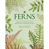 KNYGA Fay Wei Li Ferns