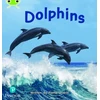 KNYGA Fiona Undrill Bug Club Phonics - Phase 5 Unit 13: Dolphins