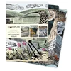 KNYGA Flame Tree Studio Angela Harding: Wildlife Set of 3 Standard Notebooks