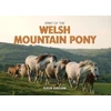 KNYGA Fleur Hallam Spirit of the Welsh Mountain Pony