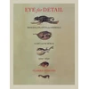 KNYGA Florike Egmond Eye for Detail