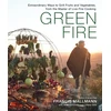 KNYGA Francis Mallmann Žalias Fire