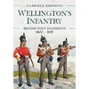 KNYGA Gabriele Esposito Wellington's Infantry