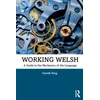 KNYGA Gareth King Working Welsh