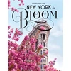 KNYGA Georgianna Lane New York in Bloom