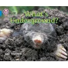 KNYGA Gill Munton What’s Underground