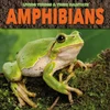 KNYGA Grace Jones Amphibians