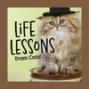 KNYGA Grace Peterson Life Lessons from Cats