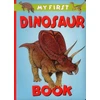 KNYGA Graham Rosewarne My First Dinosaur Book
