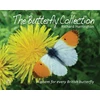 KNYGA Harrington Richard Butterfly Collection