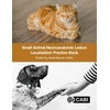 KNYGA Heidi Barnes Heller Small Animal Neuroanatomic Lesion Localization Practice Book