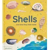 KNYGA Helen Scales Shells... and what they hide inside, A Lift-the-Flap Adventure