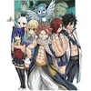 KNYGA Hiro Mashima FAIRY TAIL: 100 Years Quest 8