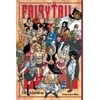KNYGA Hiro Mashima Fairy Tail 6