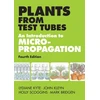 KNYGA Holly Scoggins Plants from Test Tubes