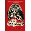 KNYGA Howard Hughes Goshawk