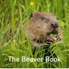 KNYGA Hugh Warwick Nature Book Series: The Beaver Book