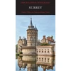 KNYGA Ian Nairn Surėjus