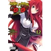 KNYGA Ichiei Ishibumi High School DxD, Vol. 12 (light novel)