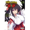 KNYGA Ichiei Ishibumi High School DxD, Vol. 13 (light novel)
